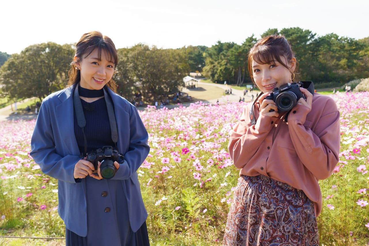 成员个人活动贴贴